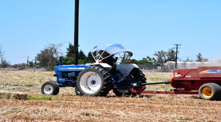 Anuncia Sapada siembra de forraje para temporada primavera-verano en vivero del Valle de Santo Domingo