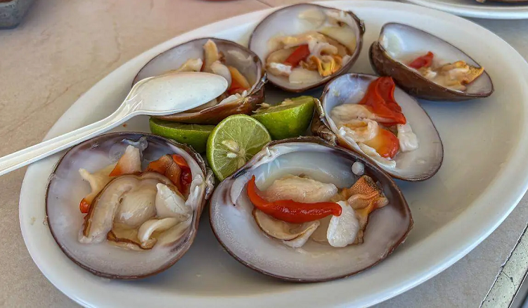 La almeja chocolata que actualmente se consume en Loreto, es de San Carlos