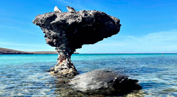 Invitan a conocer las playas Platino de La Paz durante Semana Santa