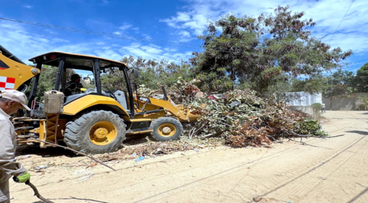 Atiende Servicios Públicos retiro de ramas y mantenimiento de calles en SJC