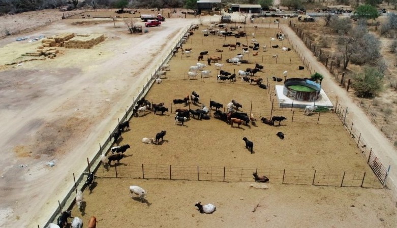 Impulsa Sepada acciones para fortalecer al sector primario en Los Cabos