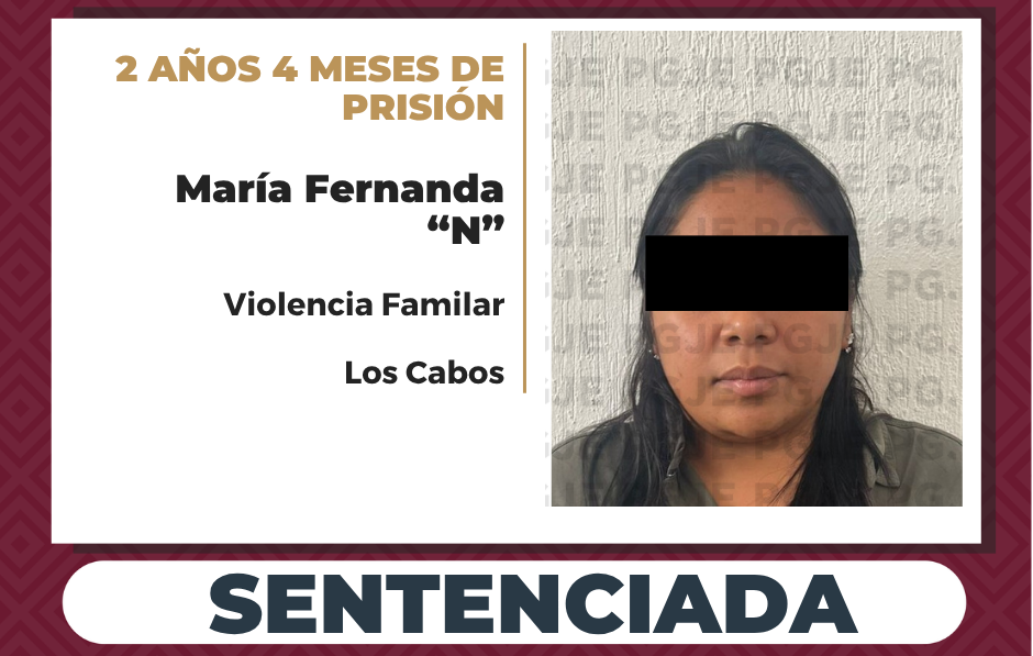 Sentenciada a 2 años 4 meses de prisión para culpable de violencia familiar en SJC