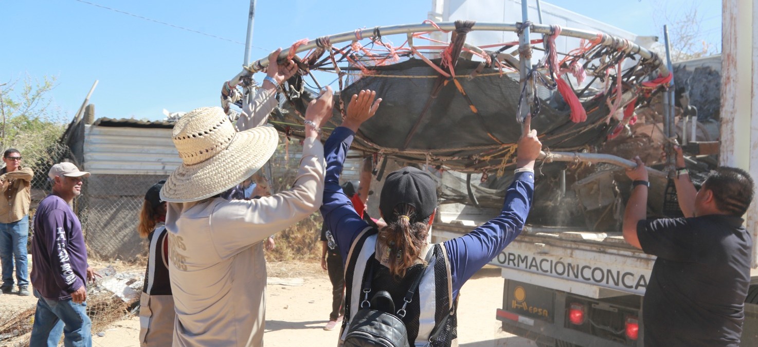 Mantiene gobierno de Los Cabos jornadas permanentes de limpieza y descacharrización en el municipio