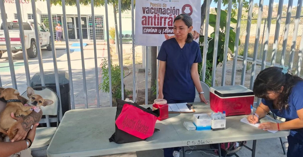 Apoyan estudiantes de la UABCS la Campaña Nacional de Vacunación Antirrábica