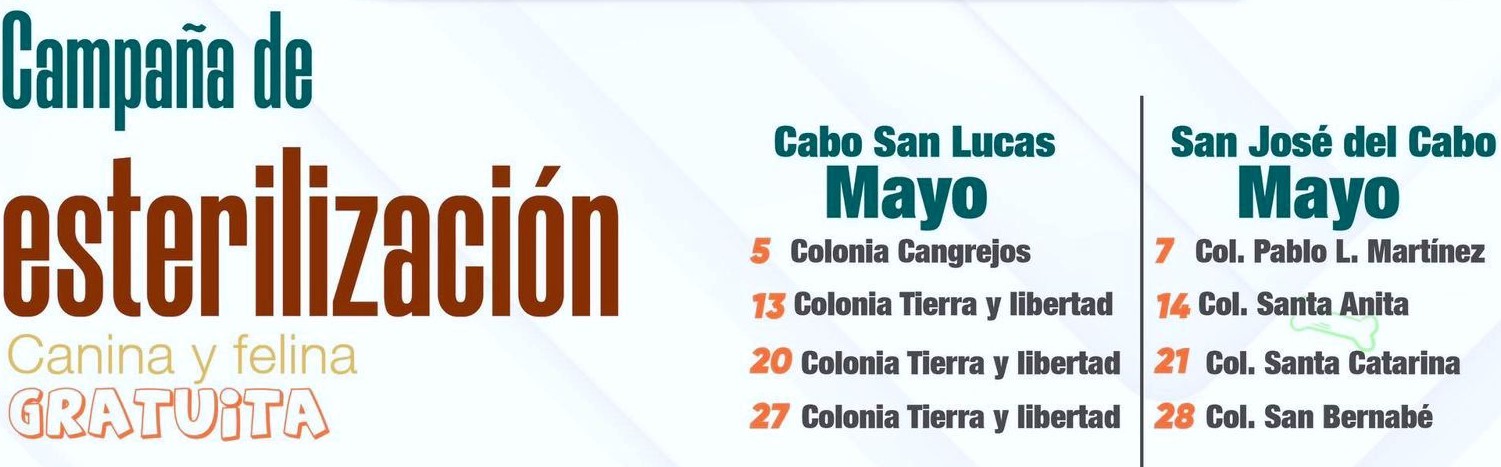 Anuncia gobierno de Los Cabos lugares y fechas del calendario de mayo para el bienestar animal