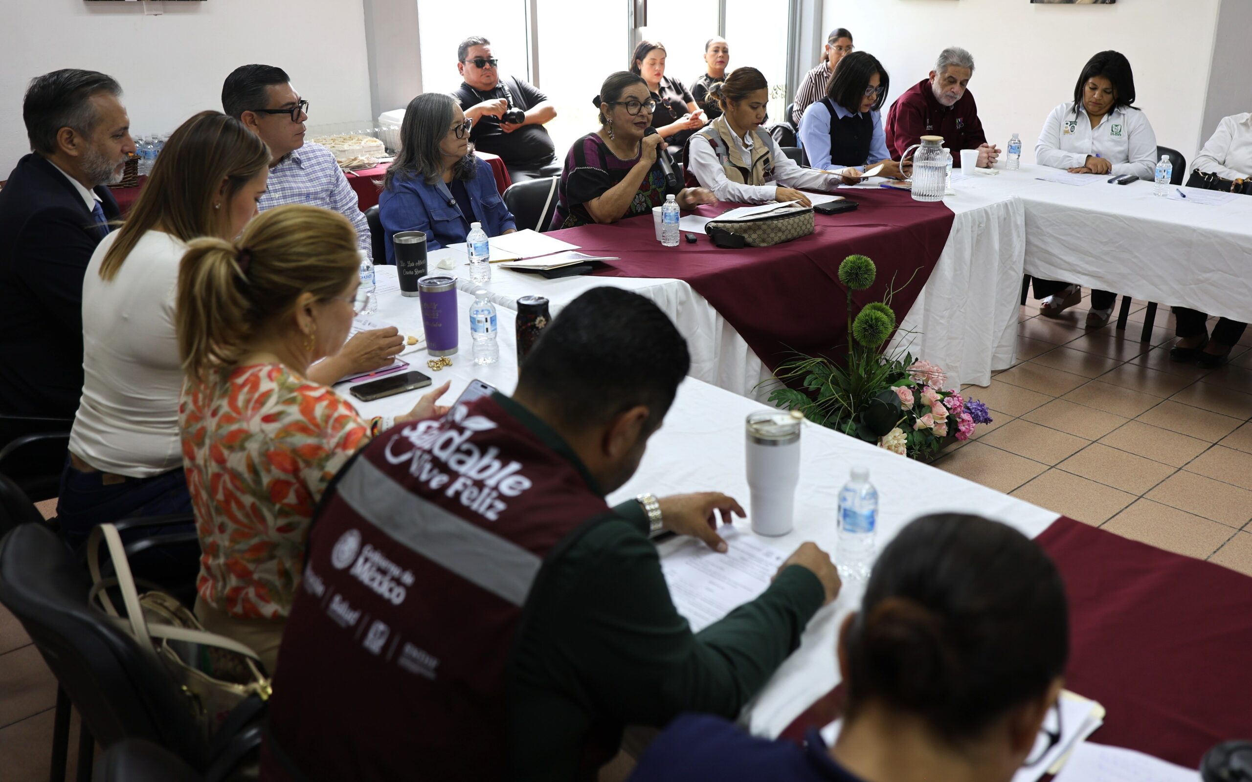 Encabeza SEDIF de BCS mesa de trabajo sobre Sistema de Cuidados