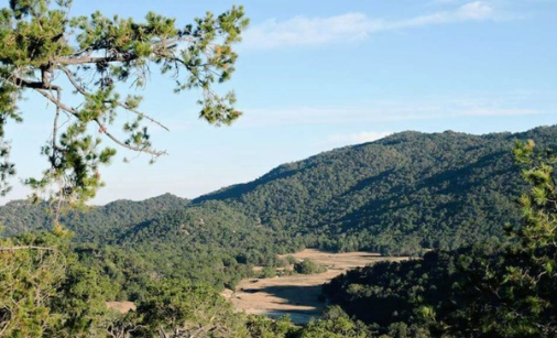 Confirma Ayuntamiento de Los Cabos que tampoco ha autorizado permiso de construcción en la sierra Confirma Ayuntamiento de Los Cabos que tampoco ha autorizado permiso de construcción en la sierra