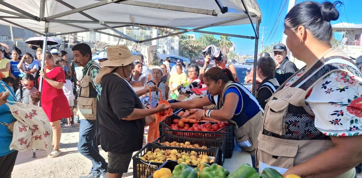 Acerca el gobierno de Los Cabos apoyos y servicios a familias de la colonia Valle del Cabo Bajo en CSL