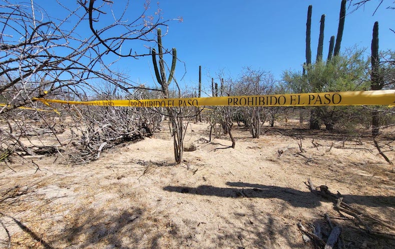 Tres fosas clandestinas más en el arroyo El Cajoncito de La Paz