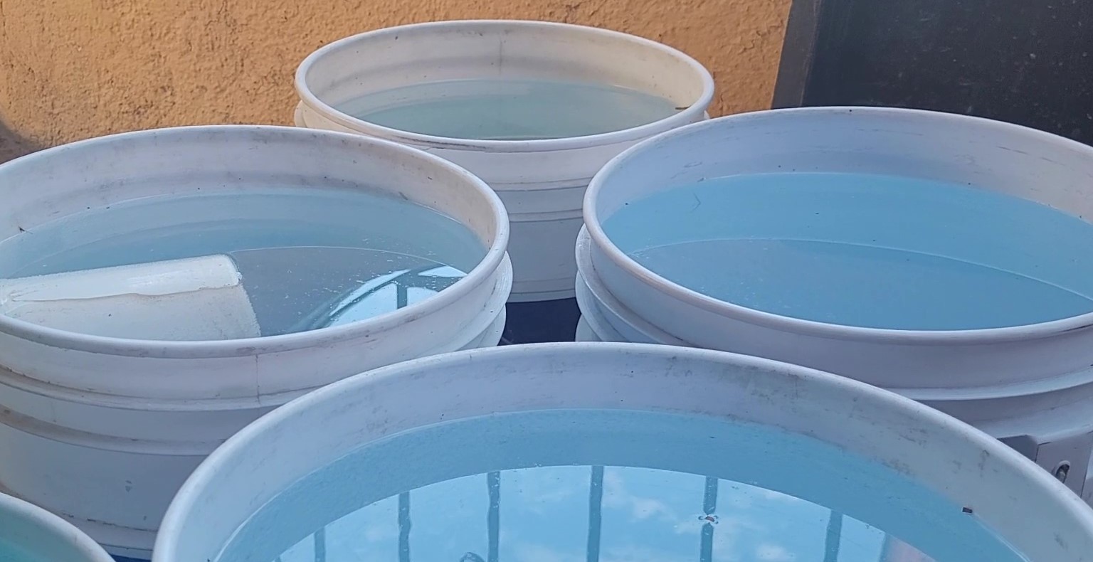 Llama IMSS a eliminar criaderos de mosquitos ante temporada de lluvias en BCS