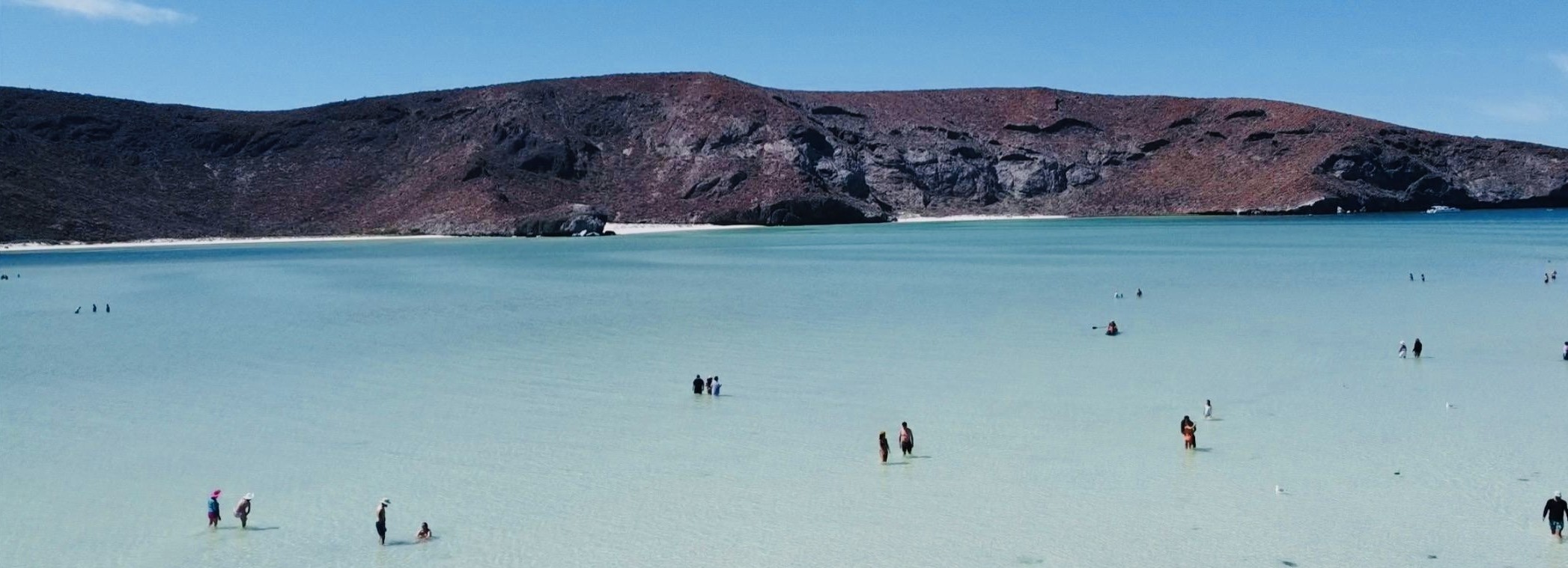 Confirma Coepris condiciones sanitarias óptimas en playas de BCS