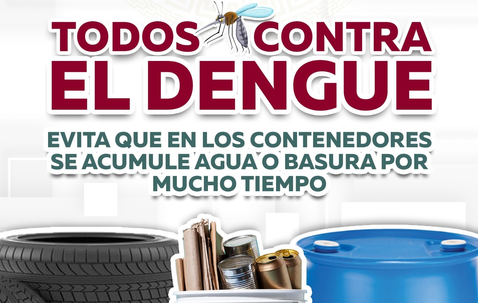 Llaman a familias de Los Cabos a eliminar criaderos de mosquitos para prevenir el dengue