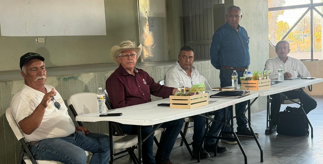Impulsará gobierno de BCS estrategias de comercialización del higo blanco en Vizcaíno