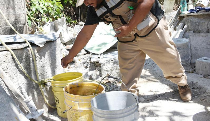 Eliminar criaderos, la mejor forma de combatir el mosco trasmisor del dengue