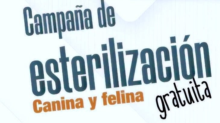 Continúan esterilizaciones gratuitas para perros y gatos en colonia Vista Hermosa