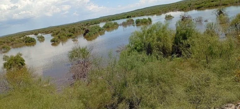 Presas de BCS en niveles bajos a pesar de las lluvias frecuentes
