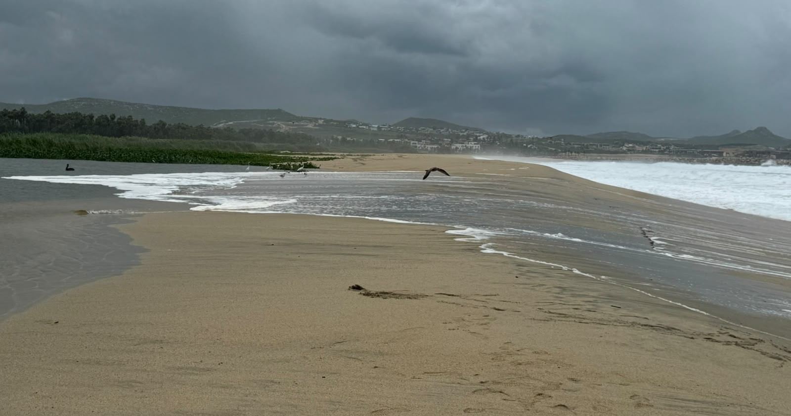 Emite Ecología aviso preventivo por condiciones en el Estero de SJC