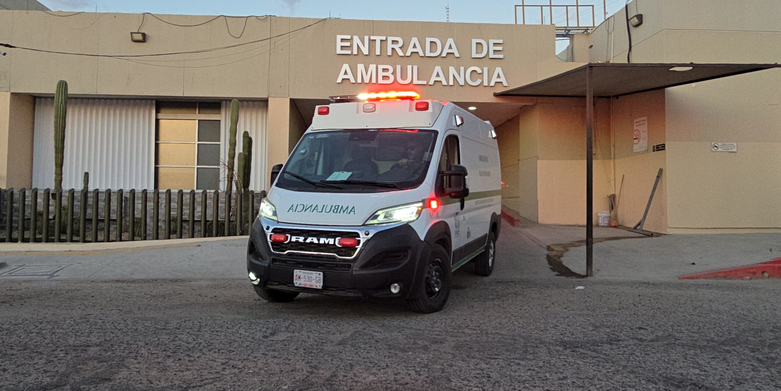 Fomenta IMSS prevención de rabia ante mordeduras y rasguños de animales en BCS