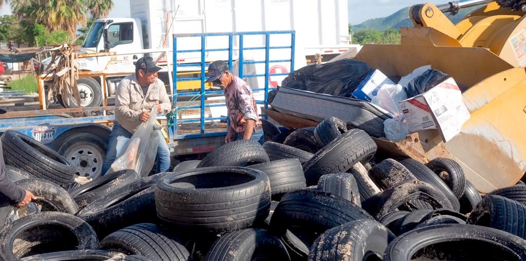 Retira Zofemat Los Cabos 6.5 toneladas de residuos en playa El Médano