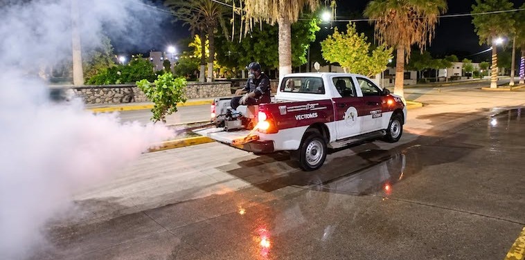Incidencia de dengue en BCS no es crítica; “todavía es controlable”, sostiene Director General de Cenaprece