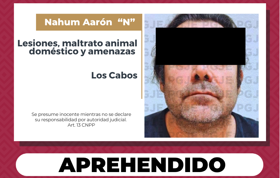 Cumplimentan orden de aprehensión por lesiones, maltrato animal doméstico y amenazas en SJC