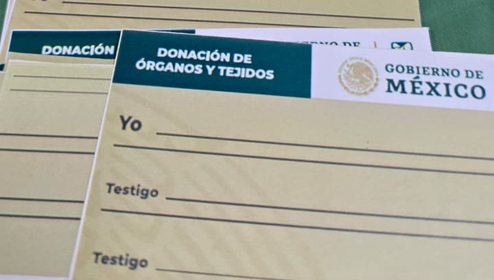 Reconoce IMSS donación altruista de órganos y tejidos en BCS Reconoce IMSS donación altruista de órganos y tejidos en BCS