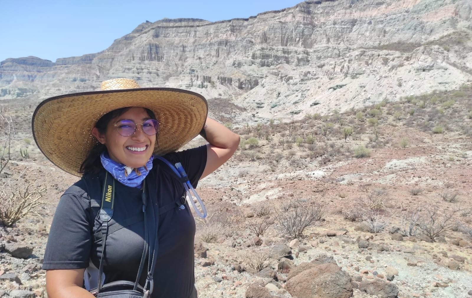 Investigación sobre ballenas fósiles de BCS obtiene el primer Premio INAH de Paleontología